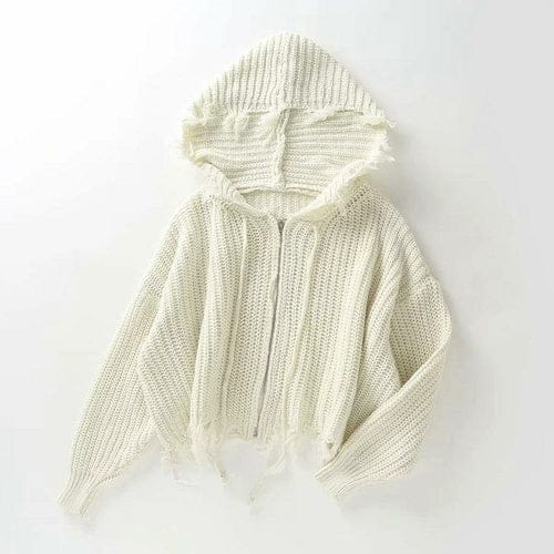 Casual Tassel Hooded Knitted Sweater